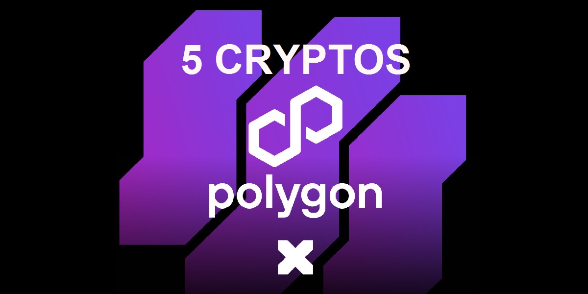 Cinq Crypto Monnaies Tournant Sur La Blockchain Polygon