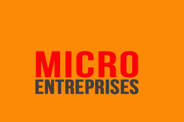 Micro-entreprises Micro-entreprises