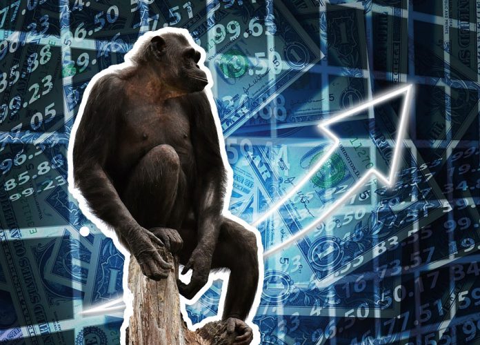 MonkeyDex MonkeyDex
