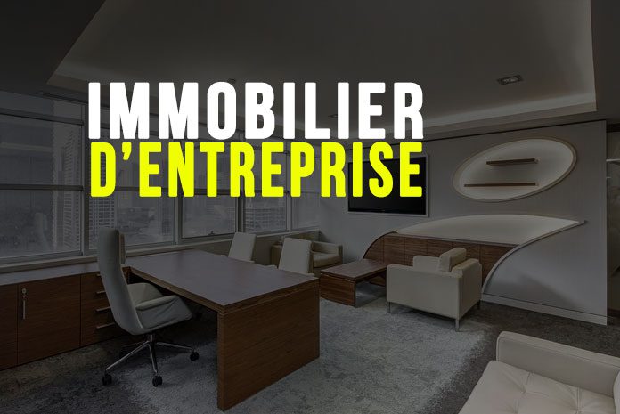 Immobilier d'entreprise Immobilier d'entreprise
