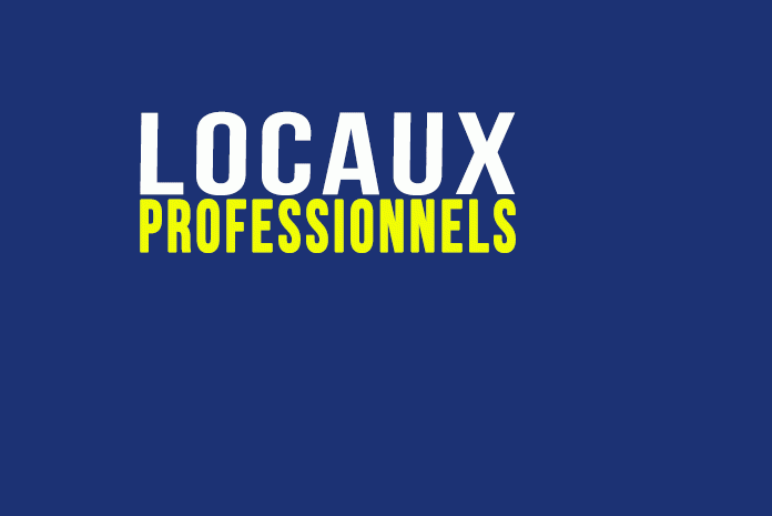 Locaux professionnels Locaux professionnels
