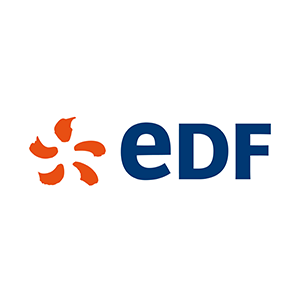 logo action edf