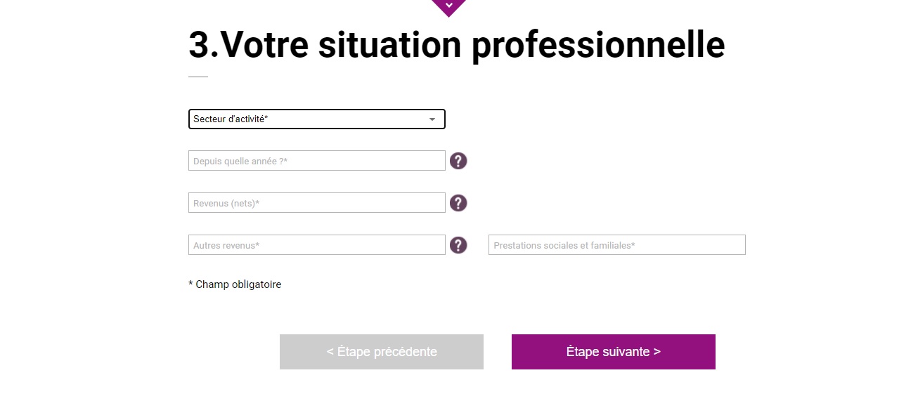 Situation professionnelle