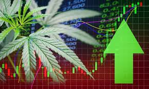 investir dans le cannabis