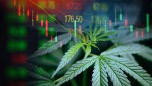 investir cannabis