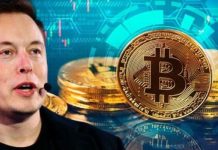Musk speaking out for cryptos