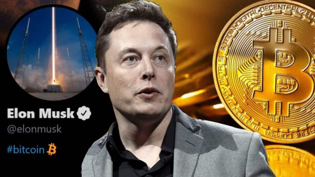 Elon Nusk Bitcoin Storm