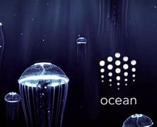 cours ocean protocol
