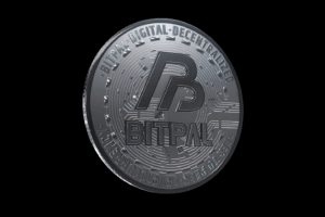 Bitpal avis