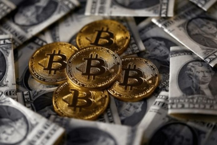 Bitcoin perd 50%