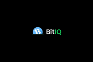 bitiq avis