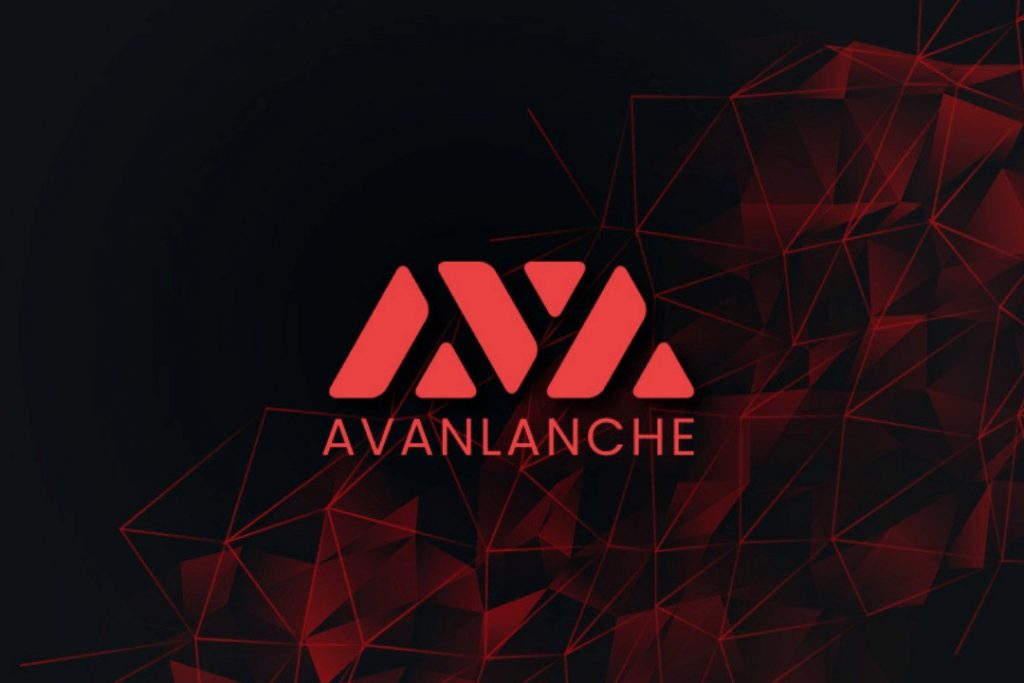 cours avalanche crypto