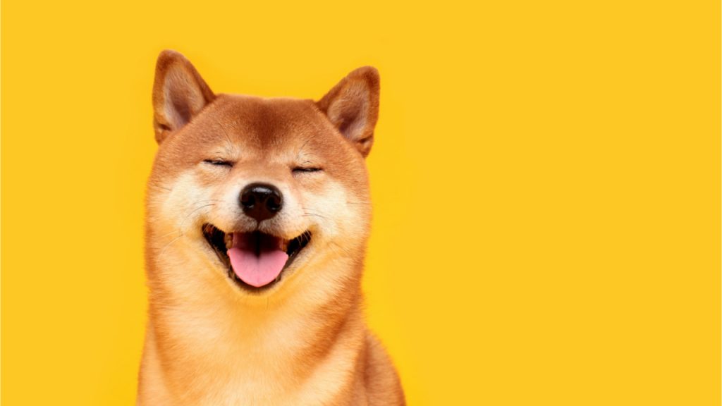 doggy coin