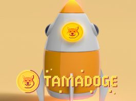 lancement du Tamadoge potentiel x50