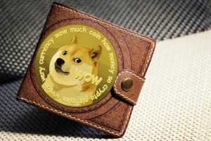 Meilleures cryptos bear market : Doge