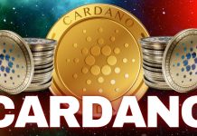 Le Cardano continue sa régression après une résistance de 0,32 $