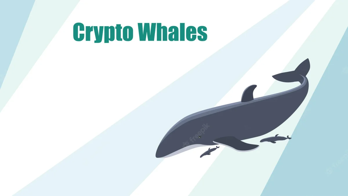 crypto whale, baleine crypto