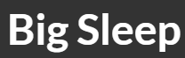big sleep logo