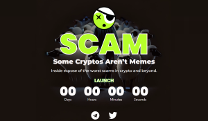 Crypto SCAM coin memecoiin