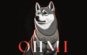 ohmi memecoin avis