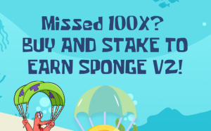 Sponge V2 100x