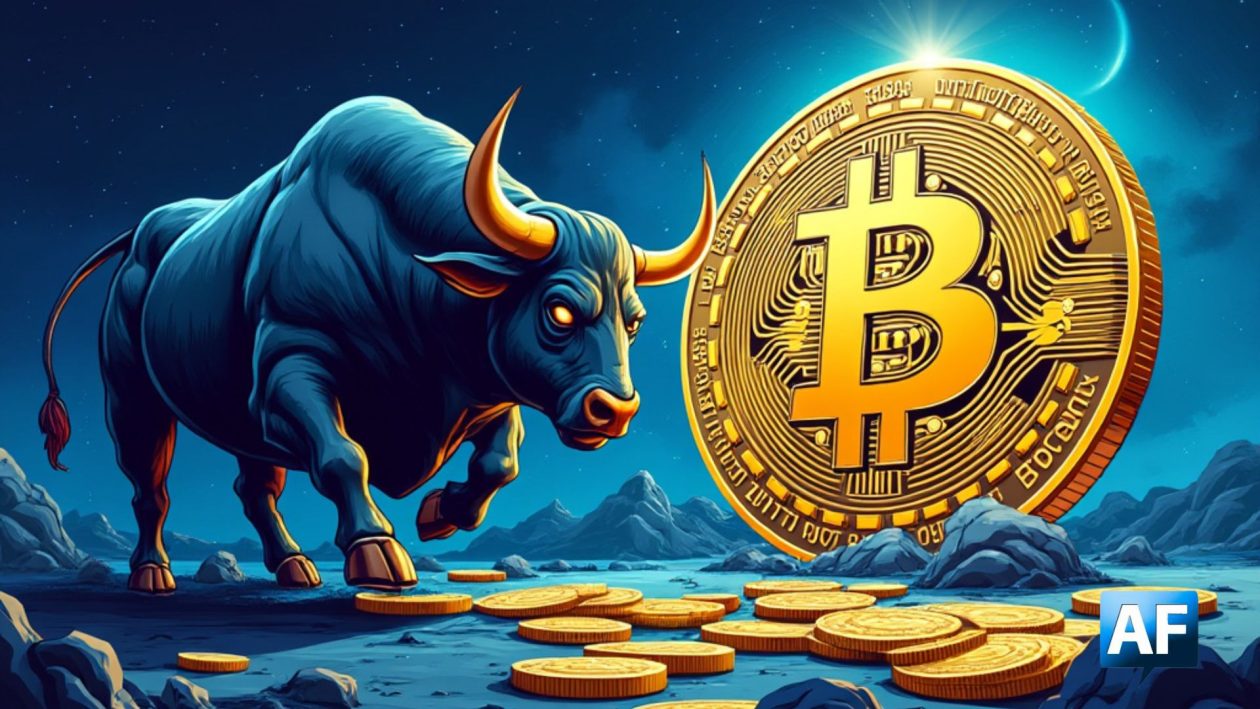 bitcoin bull run