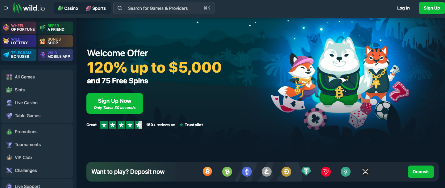 Wild.io casino homepage