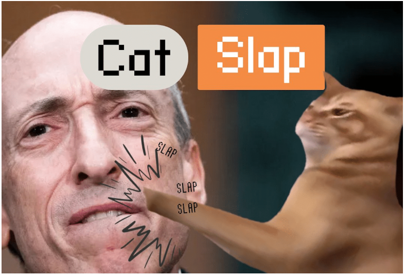 Catslap