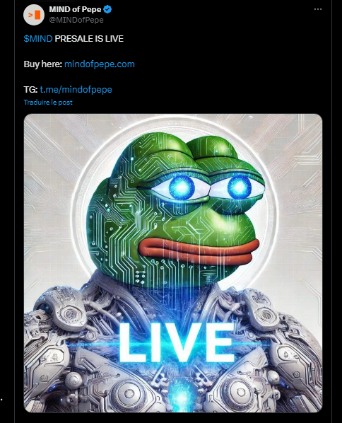 Mind of Pepe