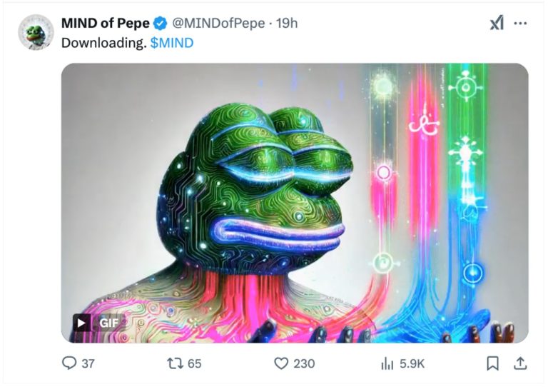 Mind of Pepe