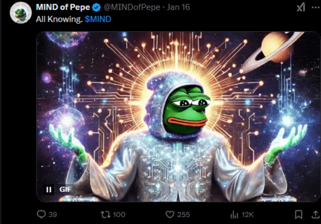 Mind of Pepe