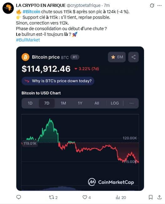 Bitcoin recule à 115 000 $ 