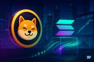 Une pièce BONK en 3D et le logo Solana posés sur un nœud lumineux, traversés de flux néon symbolisant des capitaux entrants, devant une ville nocturne et des chandelles haussières.