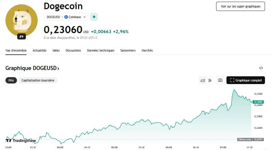 Dogecoin en route vers 1 $ 
