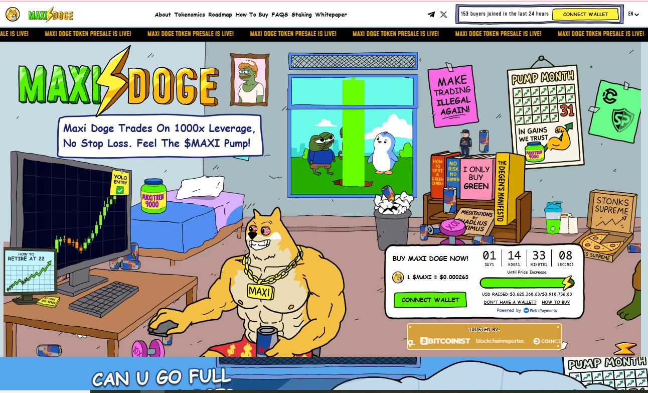 MaxiDoge, l’héritier qui joue sa propre carte