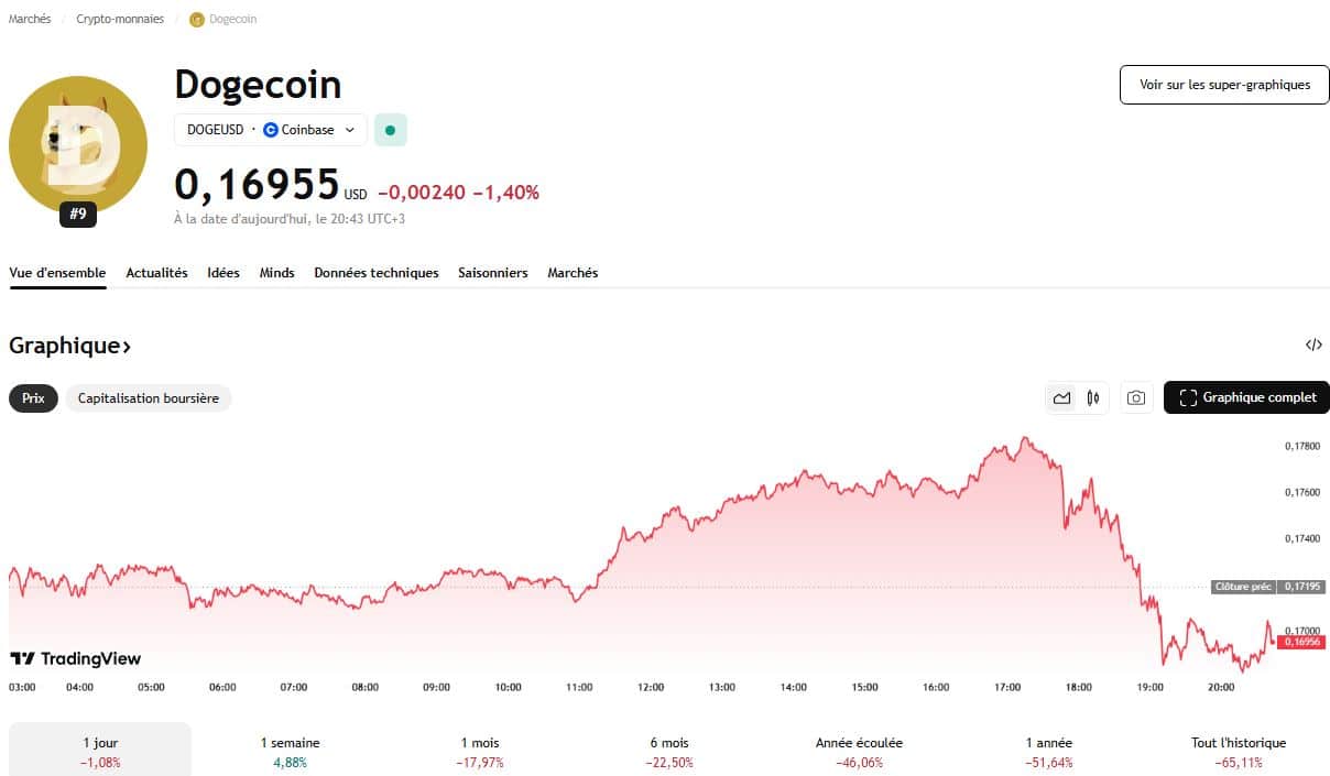 Dogecoin malmené par la chute de Bitcoin
