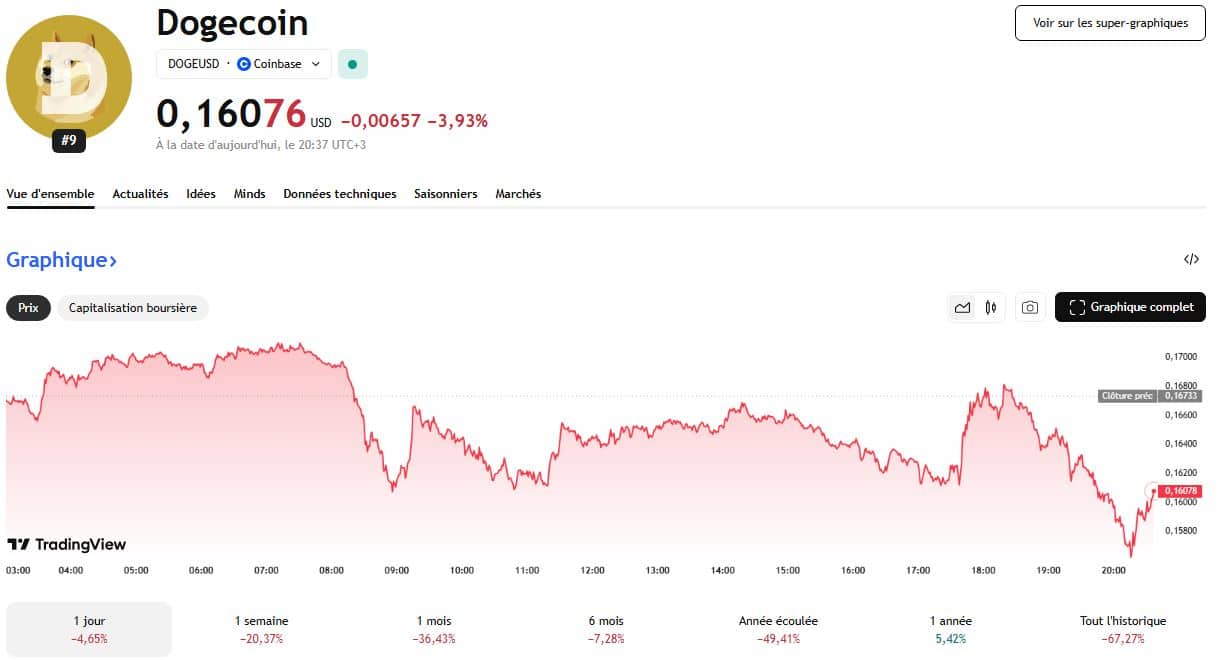 Les whales déclenchent la tempête