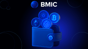 BMIC